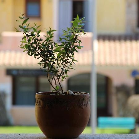 Appartamento Le Vele Porto San Paolo  Exterior photo